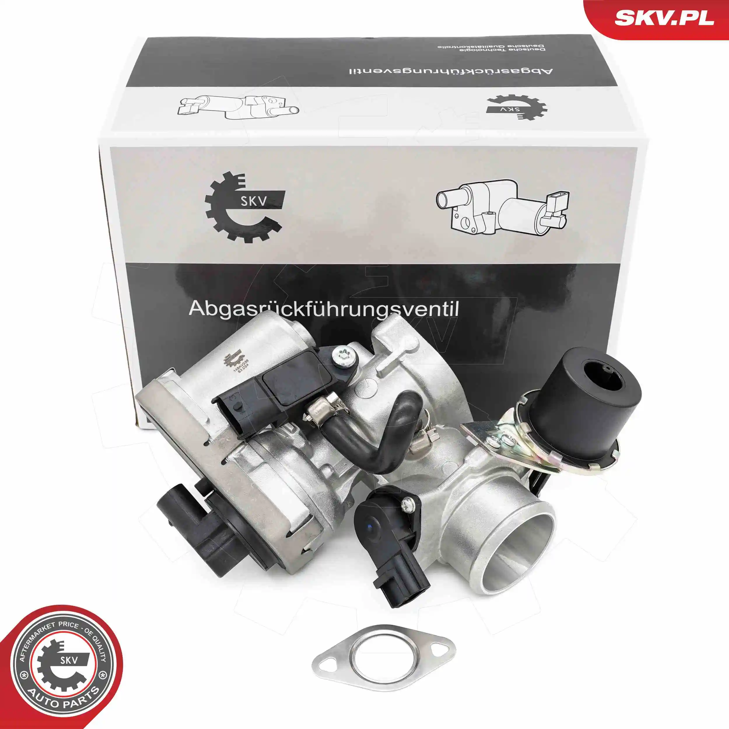 EGR Valve
